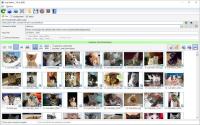 Bulk Image Downloader v6.21 (x64) Multilingual Pre-Activated