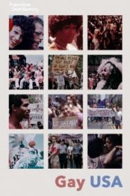 Gay USA (1977) [1080p] [WEBRip] <span style=color:#39a8bb>[YTS]</span>