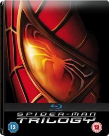 Spider-Man Trilogy (2002-2007) 1080p 10bit Bluray x265 HEVC [Org DD 5.1 Hindi + DD 5.1 English] MSubs ~ TombDoc