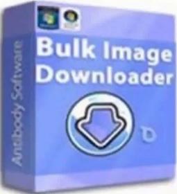 Bulk Image Downloader 5.45.0.0 Crack