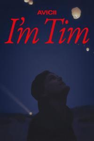 Avicii Im Tim 2024 1080p NF WEB-DL DDP5.1 H264-FHC