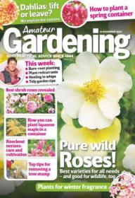 Amateur Gardening - 14 November 2020 (True PDF)