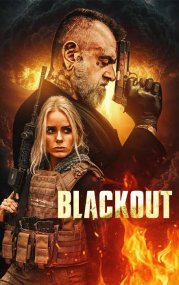 Blackout 2026 1080p WEB-DL H264-PlayfulDarkness