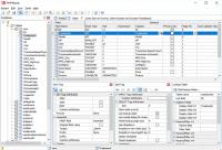 E-World Tech PHPMaker 2022.10.0.0 + Crack