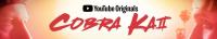 Cobra Kai S02 COMPLETE 1080p RED WEBRip AAC 5.1 VP9<span style=color:#39a8bb>-AJP69[TGx]</span>