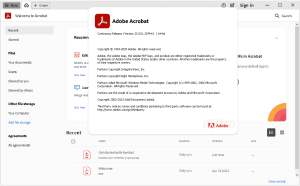 Adobe Acrobat Pro DC v2025.001.20744 (x64) Multilingual Pre-Activated