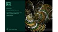 Adobe Audition 2020 v13.0.5.25 Beta (x64) Multilingual (Pre-Activated)