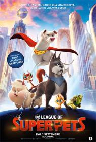 DC League of Super Pets 2022 iTA-ENG Bluray 1080p x264-CYBER