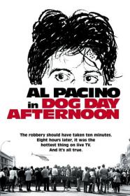 Dog Day Afternoon (1975) [1080p] <span style=color:#39a8bb>[YTS]</span>