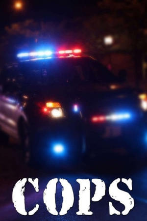 Cops S38E13 720p WEB H264-JFF