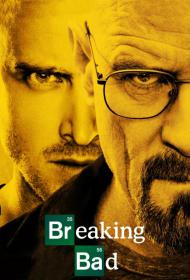 Breaking Bad S05 Season 5 COMPLETE 720p HDTV x264-PublicHD