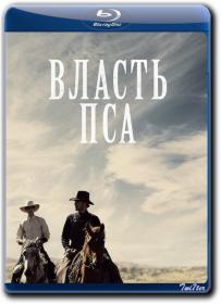 Vlast Psa 2021 D Netflix WEB-DLRip 2.18GB<span style=color:#39a8bb>_ExKinoRay_by_Twi7ter</span>