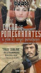 The Color of Pomegranates 1969 DVD5 NTSC - iCMAL [TGx]
