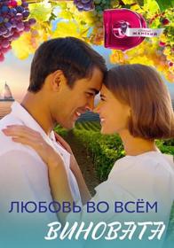 Любовь во всём виновата 2022 WEB-DLRip Files-x