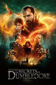 Fantastic Beasts The Secrets of Dumbledore 2022 1080p BluRay 1600MB DD2.0 x264<span style=color:#39a8bb>-GalaxyRG[TGx]</span>