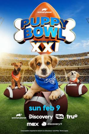 Puppy Bowl XXI (2025) [720p] [WEBRip] <span style=color:#39a8bb>[YTS]</span>