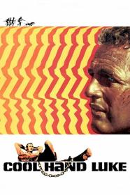 Cool Hand Luke 1967 720p BluRay 800MB x264<span style=color:#39a8bb>-GalaxyRG[TGx]</span>