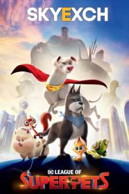 DC League of Super-Pets (2022) Original Hindi Dubbed 1080p HQ S-Print Rip x264 AAC [2.2GB]- CineVood