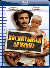 Воспитывая Аризону (1987  Raising Arizona)