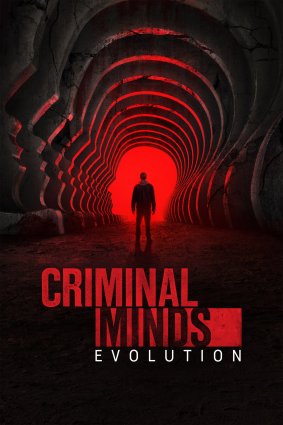 Criminal Minds S05E13 Risky Business 1080p HEVC x265<span style=color:#39a8bb>-MeGusta</span>
