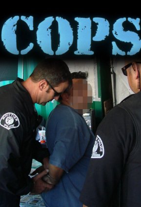 Cops S38E03 720p WEB H.264-JFF