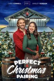 A perfect christmas pairing 2023 1080p web dl hevc x265 rmteam