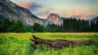 100 Amazing Mixed Wallpapers