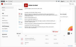 Adobe Acrobat Pro DC v2025.001.20566 (x64) Multilingual Pre-Activated