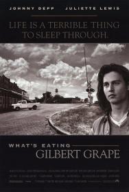 【首发于高清影视之家 】不一样的天空[繁英字幕] Whats Eating Gilbert Grape 1993 BluRay 1080p DTS-HD MA 5.1 x265 10bit<span style=color:#39a8bb>-ALT</span>