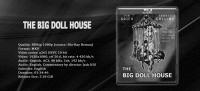 The Big Doll House 1971 1080p BluRay x265 HEVC 10bit 2ch(xxxpav69)