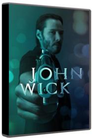 John Wick 2014 BluRay 1080p DTS AC3 x264-MgB