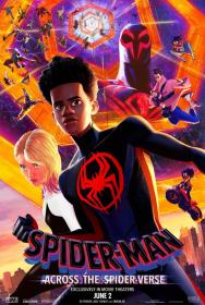 Spider-Man Across the Spider-Verse (2023) 720p Hindi + English AAC 5.1 WEBRip HEVC x265 ESub~PSA SHADOW