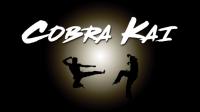 Cobra Kai S02 Sub ITA 1080p RED WEBRip AAC 5.1 VP9-AJP69<span style=color:#39a8bb>-Morpheus</span>
