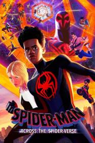 Spider-Man Across the Spider-Verse (2023) (1080p HDR WEB-RIP AV1 Opus) [MiNi] [NeoNyx343]