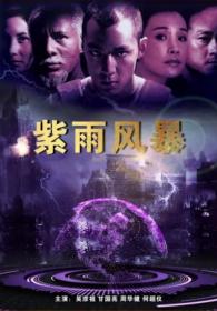 [ 高清电影之家 mkvhome com ]紫雨风暴[国语配音+中文字幕] Purple Storm 1999 2160p WEB-DL H265 AAC-CTRLWEB