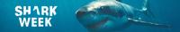 Shark Week 2023 Deadly Sharks of Paradise 720p WEB h264<span style=color:#39a8bb>-BAE[TGx]</span>