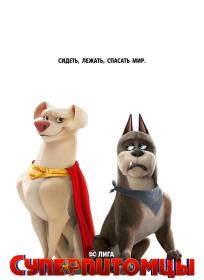 DC League of Super Pets 2022 BDRip 1080p<span style=color:#39a8bb> seleZen</span>