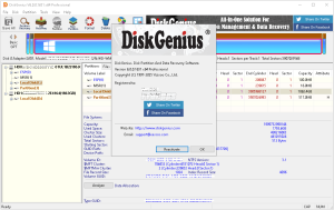 DiskGenius Professional v6.0.0.1631 Multilingual Portable