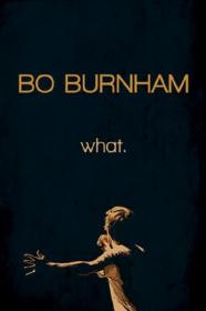 Bo Burnham What  (2013) [WEBRip] [720p] <span style=color:#39a8bb>[YTS]</span>