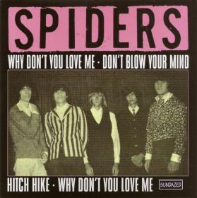 Spiders - Why Don't You Love Me Hitch Hike Don't Blow You (1998) LP-7⭐FLAC