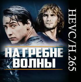 Point Break (1991) BDRip-HEVC 1080p - KORSAR
