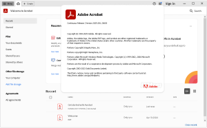 Adobe Acrobat Pro DC v2025.001.20630 (x64) Multilingual Pre-Activated