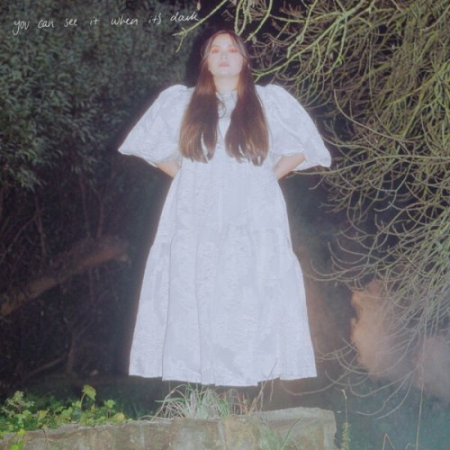 Chitra - You Can See It When It's Dark (2025) [24Bit-44.1kHz] FLAC<span style=color:#39a8bb> [PMEDIA]</span>