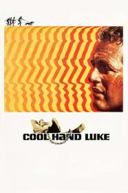 Cool Hand Luke 1967 REPACK 720p BluRay 999MB HQ x265 10bit<span style=color:#39a8bb>-GalaxyRG[TGx]</span>