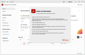Adobe Acrobat Reader DC v2024.004.20220 En-US Pre-Activated