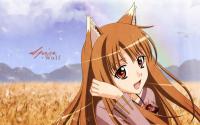 [Thonk] Ookami to Koushinryou (Spice and Wolf) S1+S2+OVA+Specials [Dual-Audio][BD 1080p][HEVC 10Bit x265][Opus]