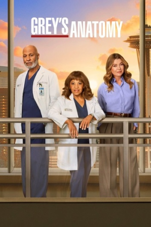 Grey's Anatomy S13 1080p WEBRip AV1 Opus 5 1-heTOrico