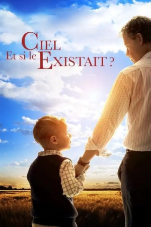 Heaven Is For Real 2014 TRUEFRENCH DVDRiP XviD-FIRETOWN