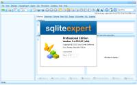 SQLite Expert Professional v5.4.53.597 Portable