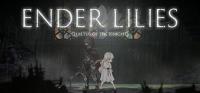 ENDER.LILIES.Quietus.of.the.Knights.v1.1.2